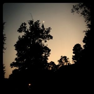 CLEARANCE closet clean out!